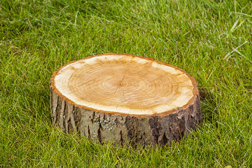 Tree-Services-Keller-Tx-stump-grinding