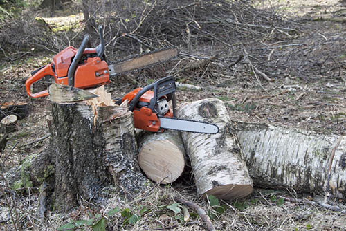 Tree-Services-Keller-TX-services-2chainsaw