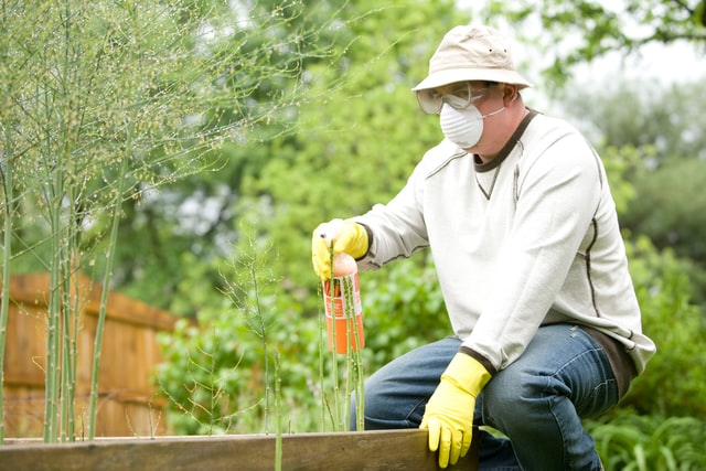 Tree-Services-Keller-TX-services-tree-removal